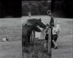 BALMORAL HOLIDAY News Clip