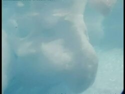 MS Tracking through water, Underwater shot of iceberg, lone prawn floats by, Antarctica Stock Footage