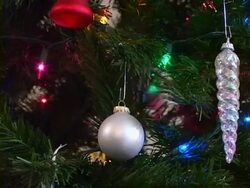 Christmas Tree Stock Footage