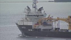 Ships moored on Plymouth Sound News Clip