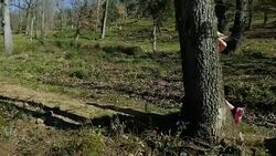 Young athlete woman running in forest Stock Footage