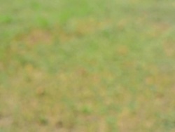 Cigarette Stock Footage