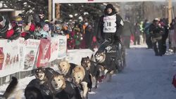 Iditarod CEO Defends Race Amid Doping Scandal News Clip