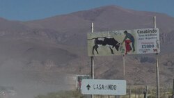 CLEAN: Argentina's pacifist corrida News Clip