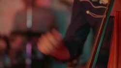 Country Bass Stock Footage