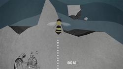 TED-ED: The case of the vanishing honeybees - Emma Bryce Instructional Video