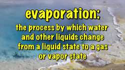 Science Kids: Exploring Mixtures and Solutions Instructional Video