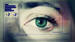 data searching Stock Footage