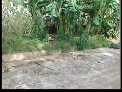 GUINEA BISSAU: GOVERNMENT FORCES ATTACKED BY REBELS News Clip