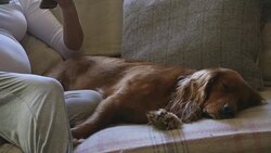 Counting Down the Days Stock Footage