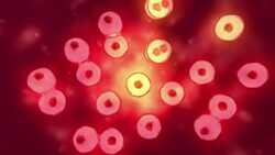 Cells Multiplying division Stock Footage