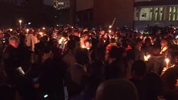 Pastor Evan Mawarire freed after protests by supporters News Clip