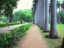 MS TU People jogging in lodi garden / Delhi, India   Stock Footage