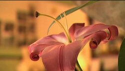 Truffle season boot sales News Clip