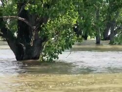 May 9, 2011 Mississippi River Flooding over a park on Mud Island Memphis, Tennessee, USA Stock Footage