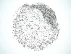 Money World Stock Footage