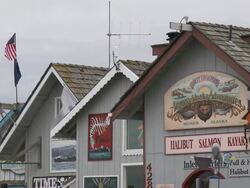"CU of wooden buildings with colourful facades and signage housing various shops and businesses on Homer Spit, Homer, Kenai Peninsula, Alaska." Stock Footage