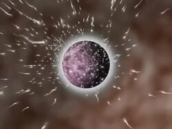 Sperm and Egg Stock Footage