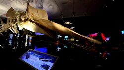 CLEAN : New York to open exhibit on whales News Clip