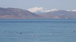 lake (selincuo lake) Stock Footage