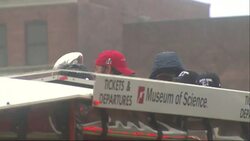 Boston Cheers Patriots with Super Bowl Parade News Clip