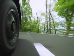Driving  on green forest road Stock Footage