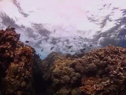 UNDERWATER WAVE Stock Footage