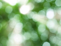 Natural video background.nature green bokeh sunlight backgrounds. Stock Footage