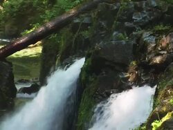 WS Waterfall cascading over rocks in rainforest  /  Washington, United States Stock Footage