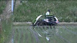 FUKUSHIMA DISASTER IMPACTS ON FOOD PRODUCTION News Clip