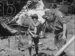 Boy Scouts fetching firewood. USA, 1953 Stock Footage