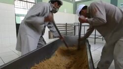 Peru, production of brown sugar Stock Footage