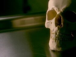 Skull Stock Footage