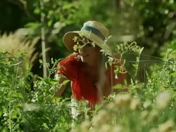 Medium panning shot of woman working in vegetable garden / Cedar Hills, Utah, United States Stock Footage