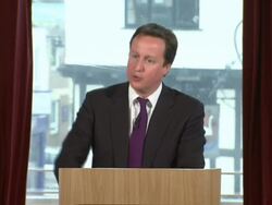 David Cameron Immigration Speech Grab News Clip