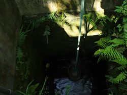 Taking water from a well Stock Footage