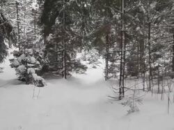 Winter Walk Stock Footage