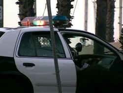 HD: Cop in Police Car at Crime Scene Stock Footage