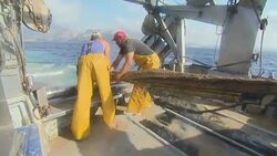 Fishermen sorting plastic and other waste from fish caught off Spain's Costa Blanca News Clip