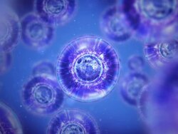 Moving cells under microscope Stock Footage