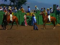 Salinas California Rodeo Stock Footage