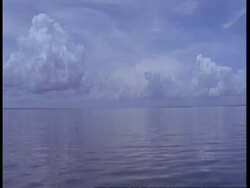 WA Vast river valley to horizon, South America Stock Footage