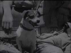 CATANIA - SICILY'S SEVEREST TEST - News Clip