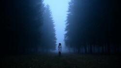 Woman walking through the woods Stock Footage