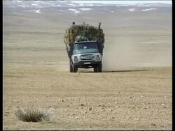 MONGOLIA: SEVERE WEATHER DECIMATING LIVESTOCK HERDS News Clip