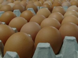 Lots of eggs Stock Footage