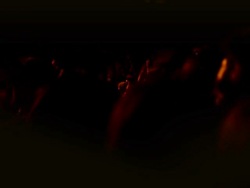 Applauding Crowd Stock Footage