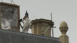 CLEAN : Dutch king reopens Girl with Pearl Earring museum News Clip