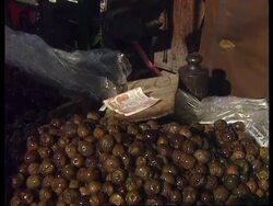 Albania - Compensation for investors News Clip