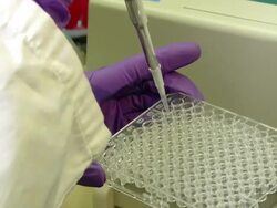 Gas chromatography-mass spectrometry (GCMS), University of Washington, Seattle, USA Stock Footage